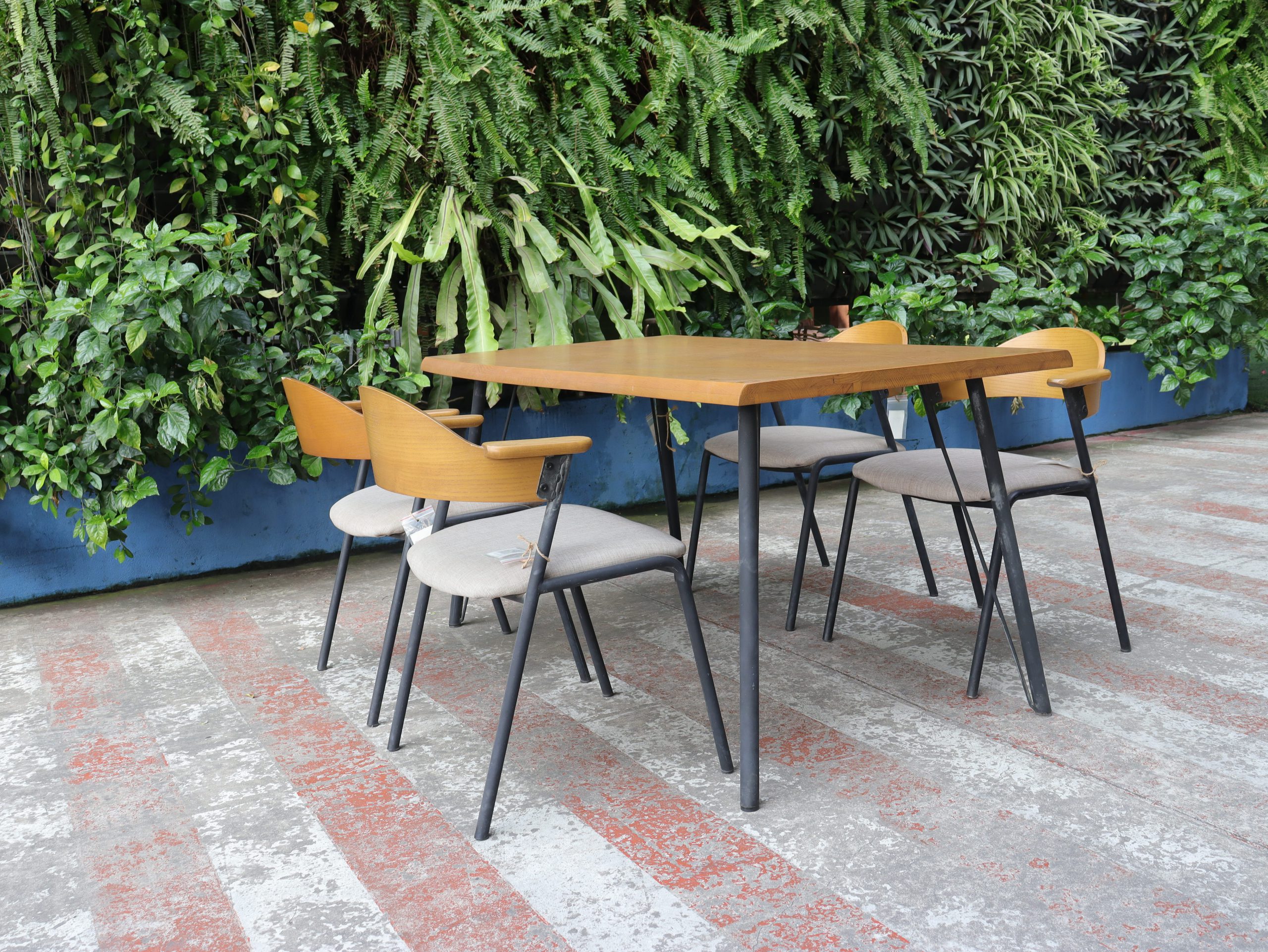 Bộ bàn ăn 4 ghế Ridel - Gỗ tần bì màu tự nhiên - Hình ảnh 3