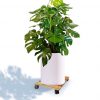 Đế gỗ di chuyển đa năng - Gỗ tràm - Hình ảnh 2