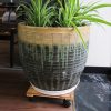 Đế gỗ di chuyển đa năng - Gỗ tràm - Hình ảnh 3